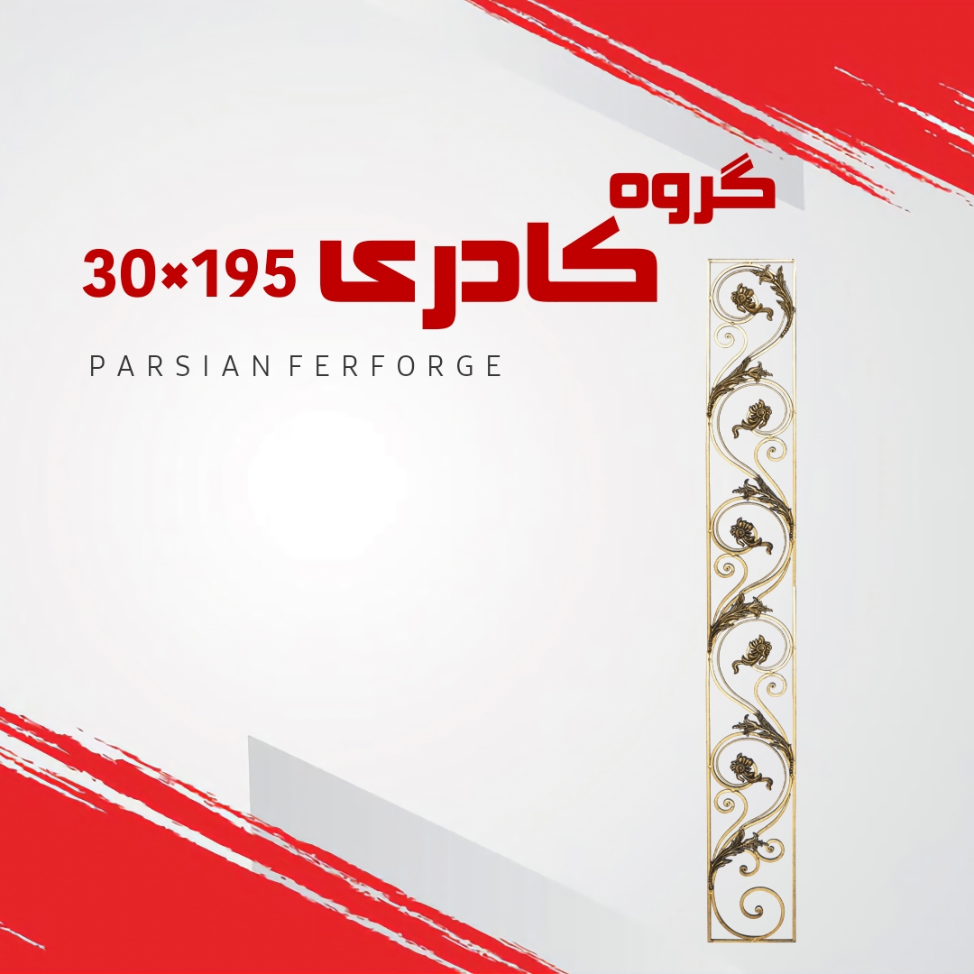 گروه کادری ۱۹۵×۳۰