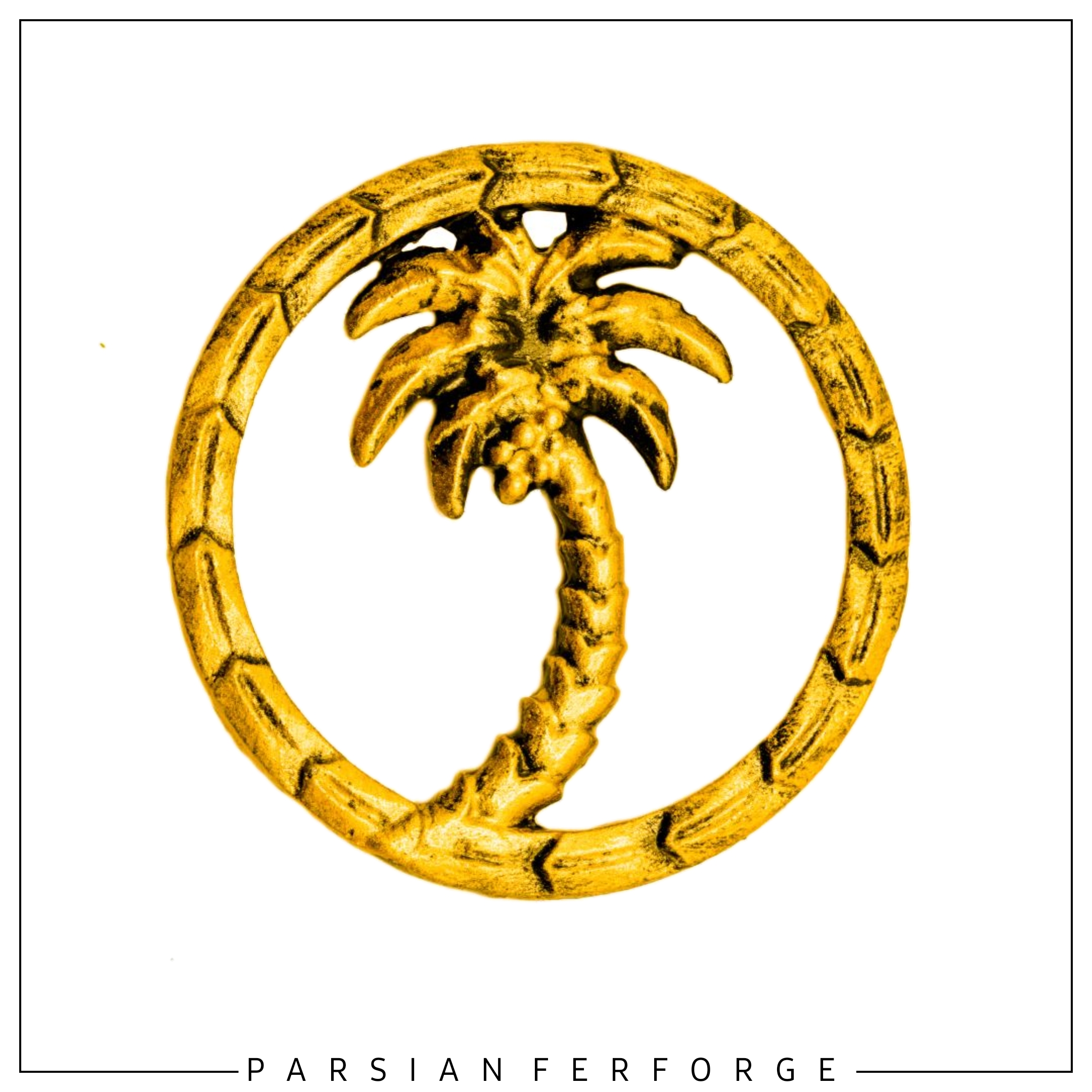 دایره نخل ۱۲