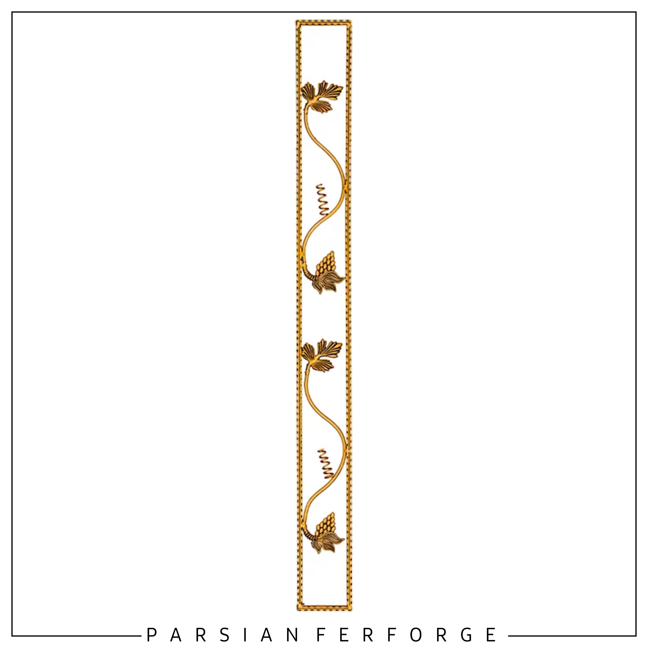حاشیه انگور